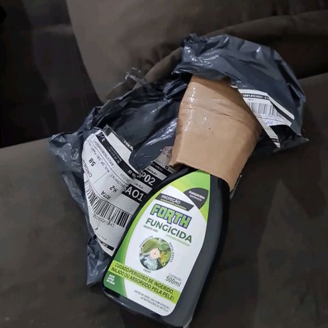 Mari Joana growlog timeline photo