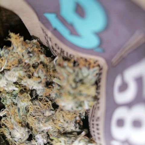 Purple Punch  growlog photo: Hier ist ein Teil vom Ergebnis. Probiert habe ich es schon und gefällt mir gut 