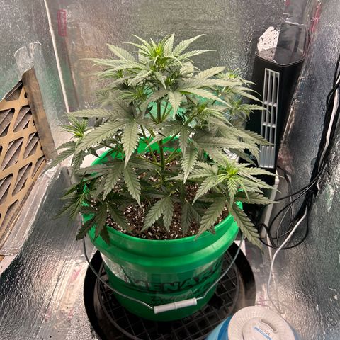 Ogkz growlog timeline photo