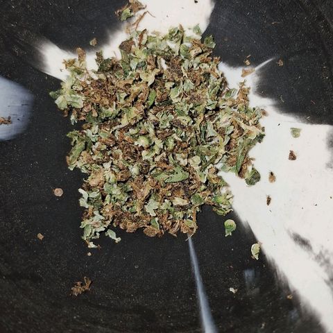 JOANA growlog timeline photo