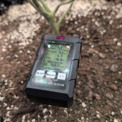 AK 47  #1 growlog timeline photo