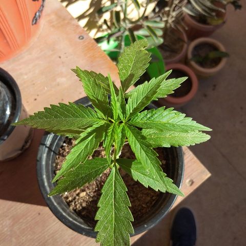 Top growlog timeline photo