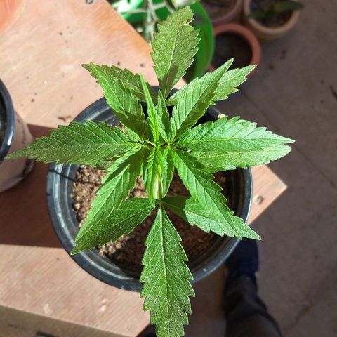 Top growlog timeline photo