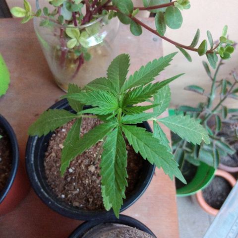 Top growlog timeline photo