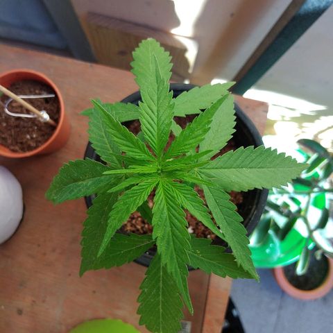 Top growlog timeline photo