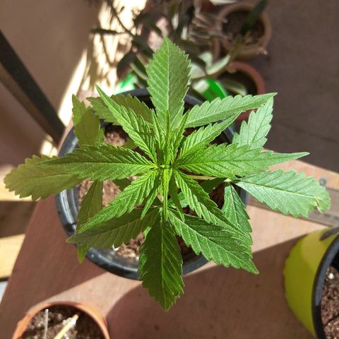 Top growlog timeline photo