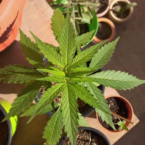 Top growlog timeline photo
