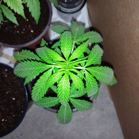 Top growlog timeline photo