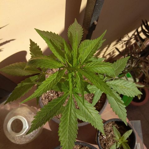 Top growlog timeline photo