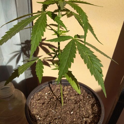 Top growlog timeline photo