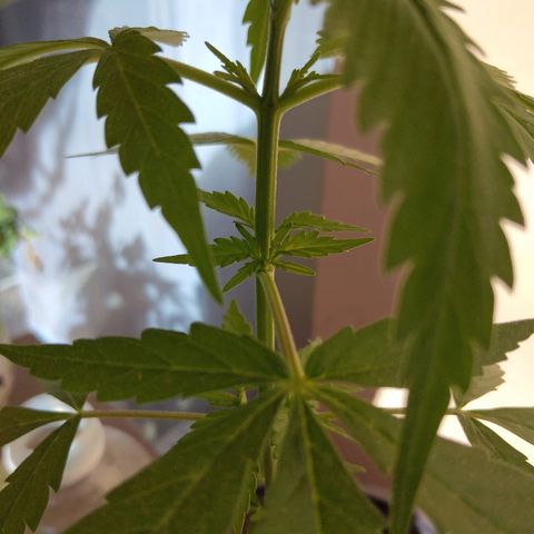 Top growlog timeline photo