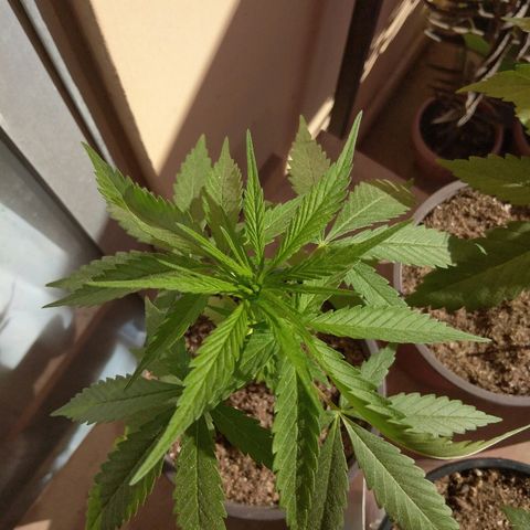 Top growlog timeline photo