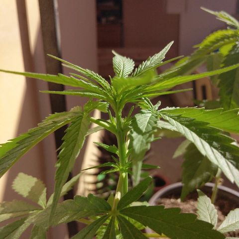Top growlog timeline photo