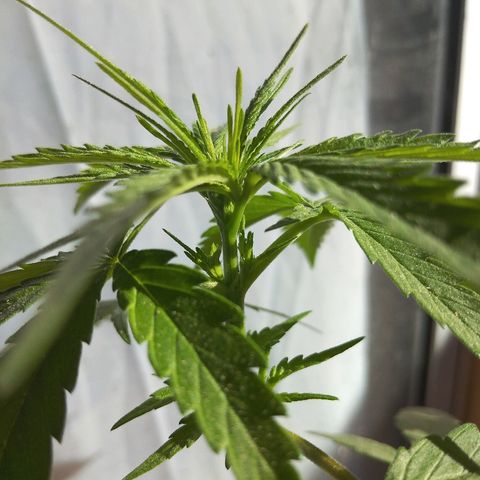 Top growlog timeline photo