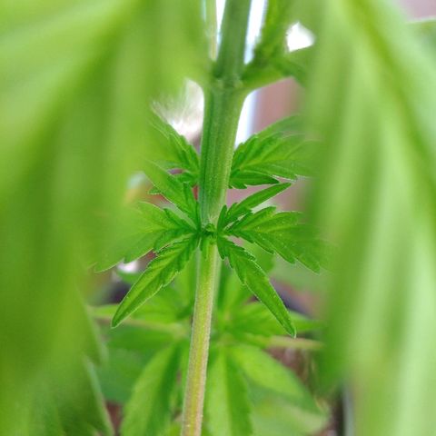 Top growlog timeline photo