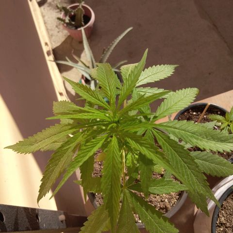 Top growlog timeline photo