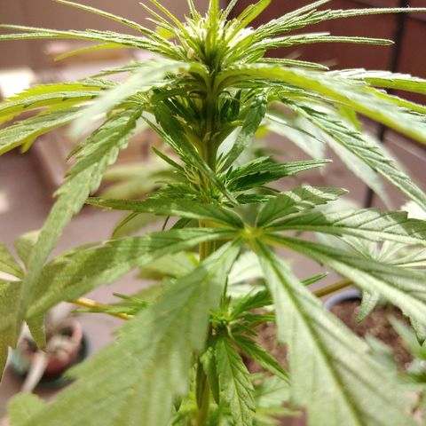 Top growlog timeline photo