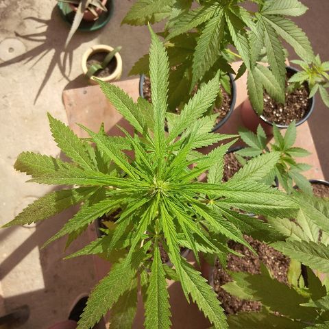 Top growlog timeline photo