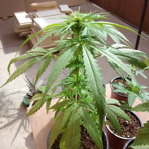 Top growlog timeline photo