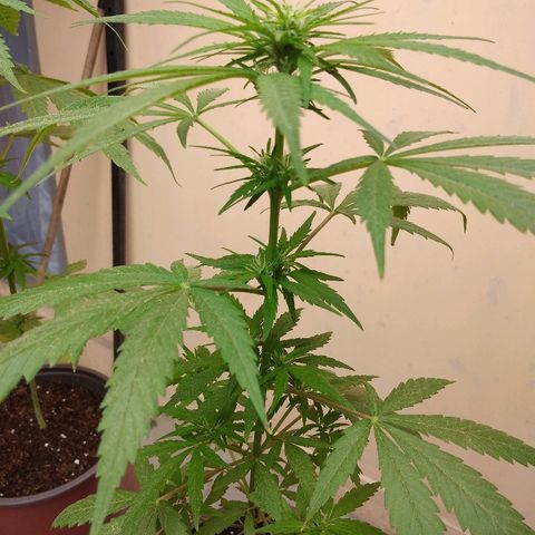 Top growlog timeline photo