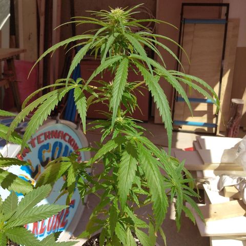 Top growlog timeline photo