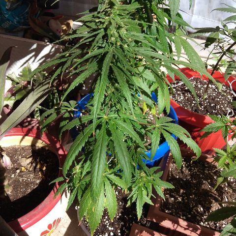 Top growlog timeline photo