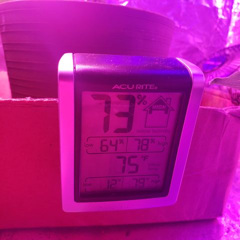 Destiny  growlog photo: LOOKING BEAUTIFUL 😍 👌 