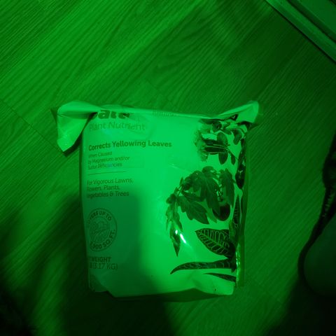 Destiny  growlog photo: I brought this Bag of Epsum salt they were NOT looking good,
"SULFER DEFICIENCY"
I fixed the Lamp springs. And the Black lamp also.