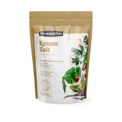 Destiny  growlog photo: I brought this Bag of Epsum salt they were NOT looking good,
"SULFER DEFICIENCY"
I fixed the Lamp springs. And the Black lamp also.