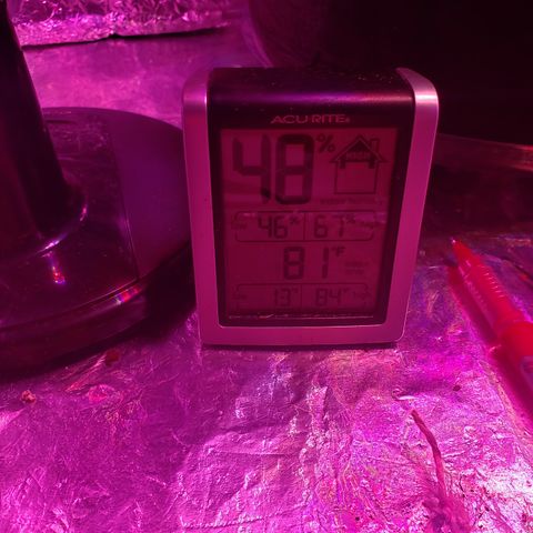 Destiny  growlog photo: Gave vitamins last night, at 3pm gave water, order new Tent and heating pad for seedings