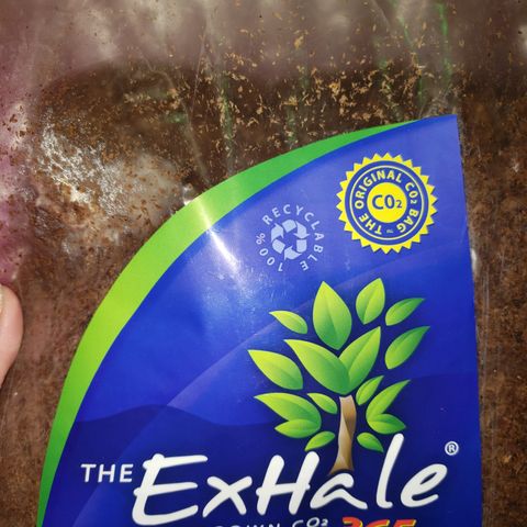 Destiny  growlog photo: Added this, itll take 30 days to develop.
April 3 should be Cured.