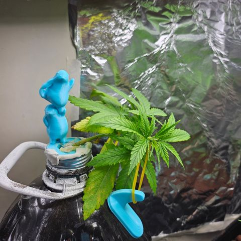 Nancy growlog photo: LST round 2, trying to be aggressive because it's a quick flower