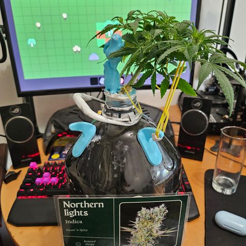 Nancy growlog timeline photo