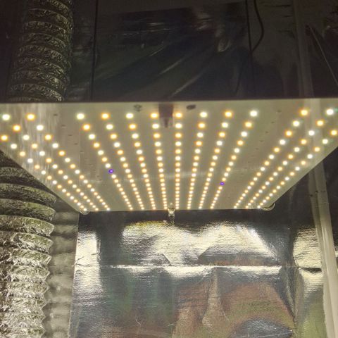 Margô (Sweet Breeze) growlog photo: Mudanças no espaço.

Substituição led viper 200w pela placa 120w 
(Neste momento ligada na vega, mas esta no modo flora, depois posto foro dele ligado)
Ventilador vivosun incrível, diversos modos de operação, circula inclusive.

