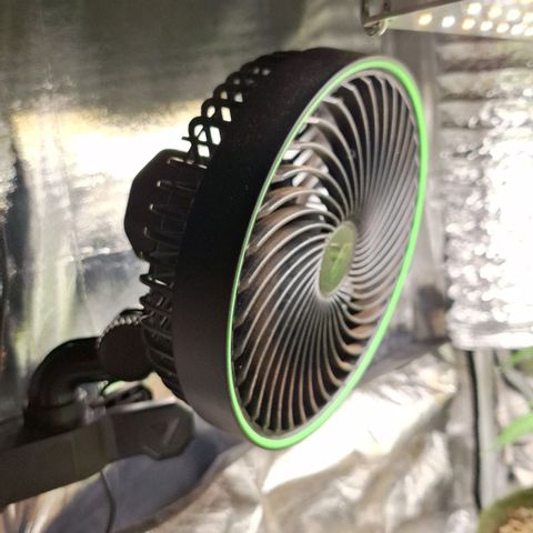 Margô (Sweet Breeze) growlog photo: Mudanças no espaço.

Substituição led viper 200w pela placa 120w 
(Neste momento ligada na vega, mas esta no modo flora, depois posto foro dele ligado)
Ventilador vivosun incrível, diversos modos de operação, circula inclusive.

