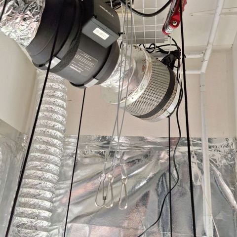 Margô (Sweet Breeze) growlog photo: Mudanças no espaço.

Substituição led viper 200w pela placa 120w 
(Neste momento ligada na vega, mas esta no modo flora, depois posto foro dele ligado)
Ventilador vivosun incrível, diversos modos de operação, circula inclusive.

