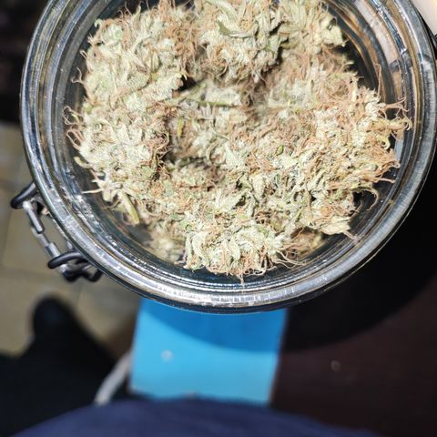 Lala growlog timeline photo