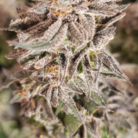 Sunday Funday 1 growlog photo: Choppy chop