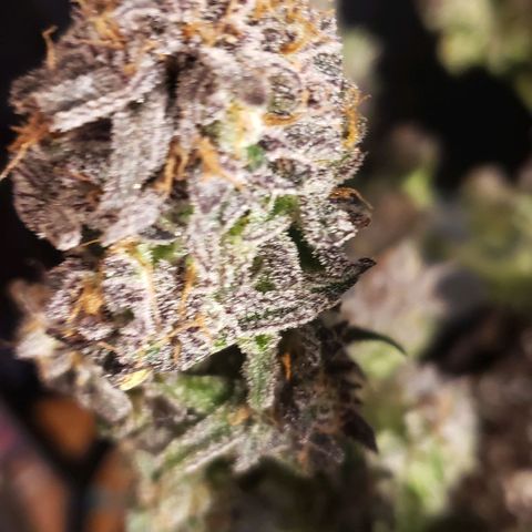 Sunday Funday 1 growlog photo: Choppy chop