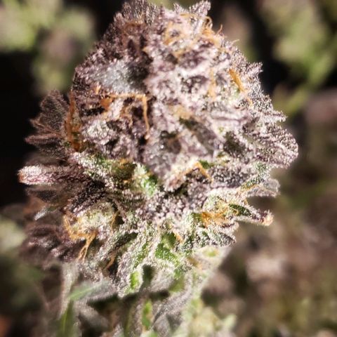 Sunday Funday 1 growlog photo: Choppy chop