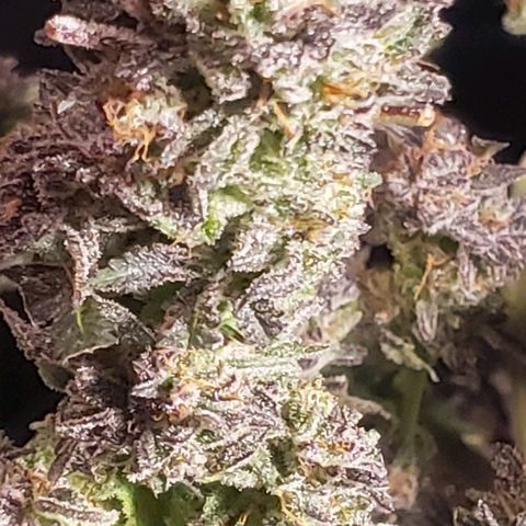 Sunday Funday 1 growlog photo: Choppy chop