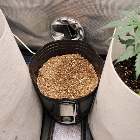 Sublimator Auto #1 growlog timeline photo