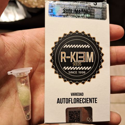 Sublimator Auto #1 growlog timeline photo