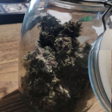 Creme-de-la-Chem x Skywalker growlog photo: #3