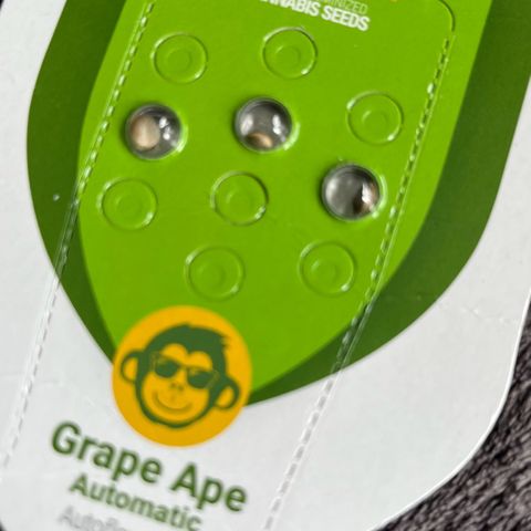 Charlie growlog timeline photo