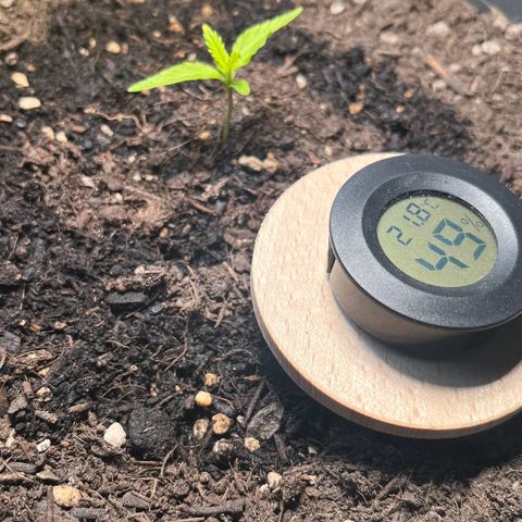 Charlie growlog timeline photo