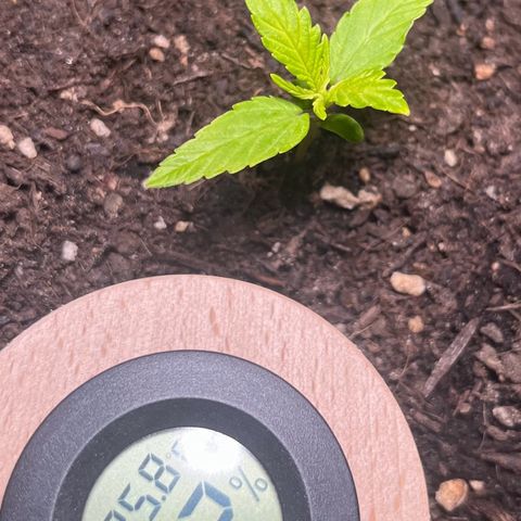 Charlie growlog timeline photo