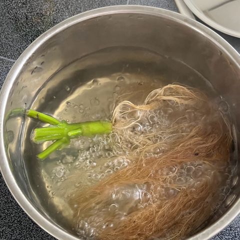 Charlie growlog timeline photo