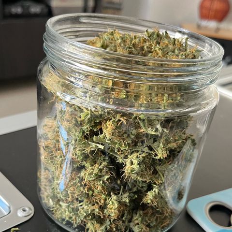 Charlie growlog timeline photo
