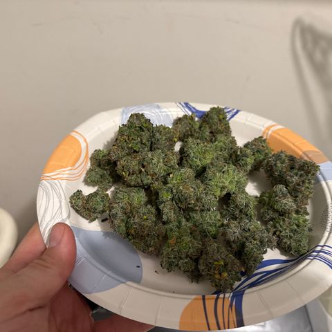 Strawberry Milk and Qookies Remix (Plant 1) growlog timeline photo